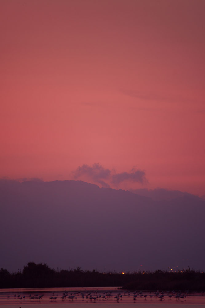 Frankfurter Allee at dusk in Berlin, Germany 2019 - image: Michel Meijer