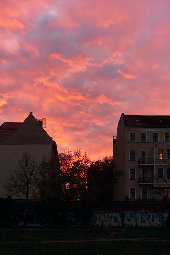 Clouds reflect the light of the evening sun in Hausburgpark, Berlin-Friedrichshain 2020 - image: Michel Meijer