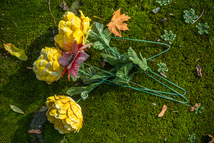 Artificial flowers lie in the moss that grows on a tombstone, All Saints' Day in Poland. Image: Michel Meijer