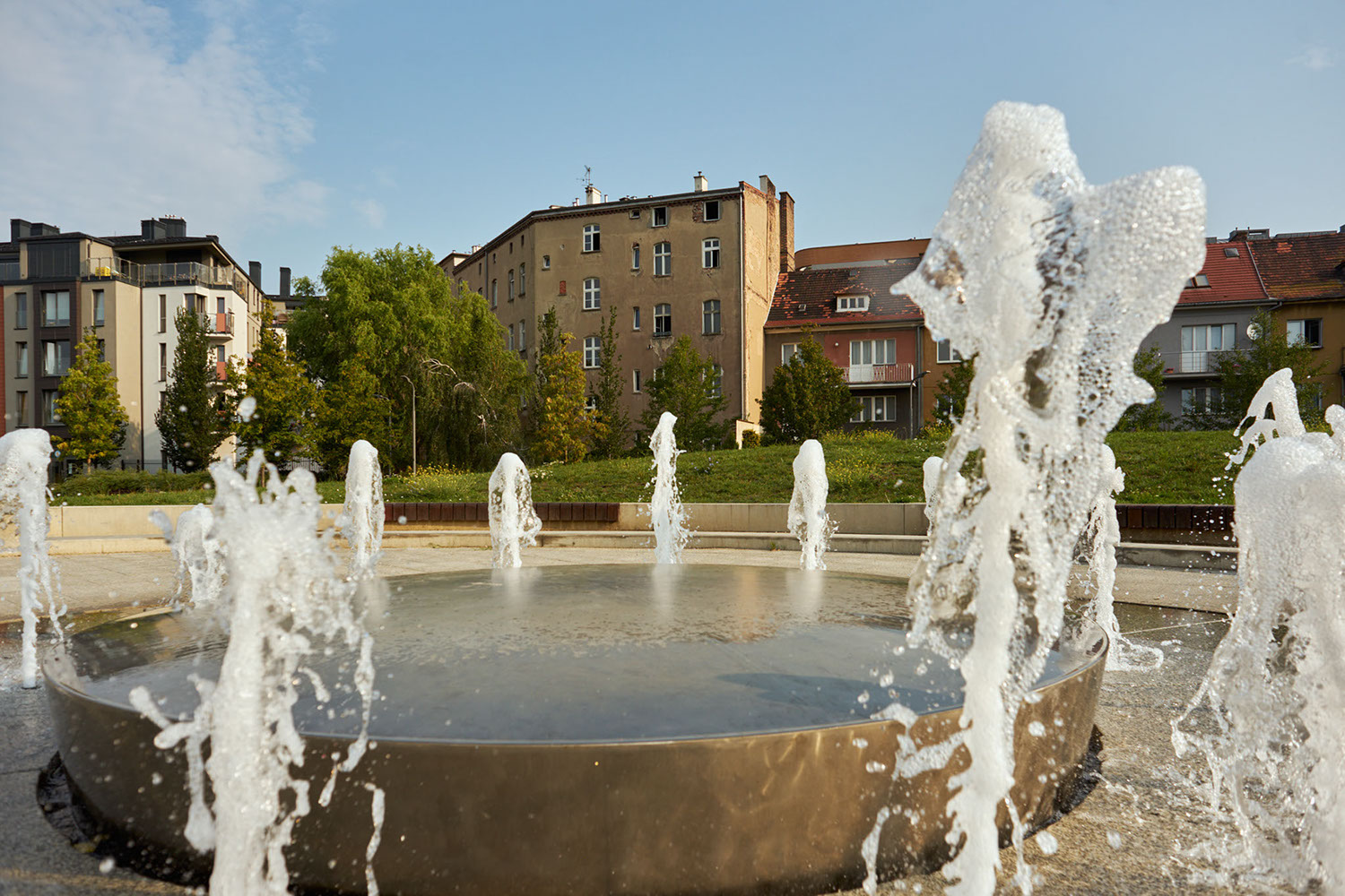 Stare Koryto Warty Park in Poznan, Poland 2019 - image: Michel Meijer