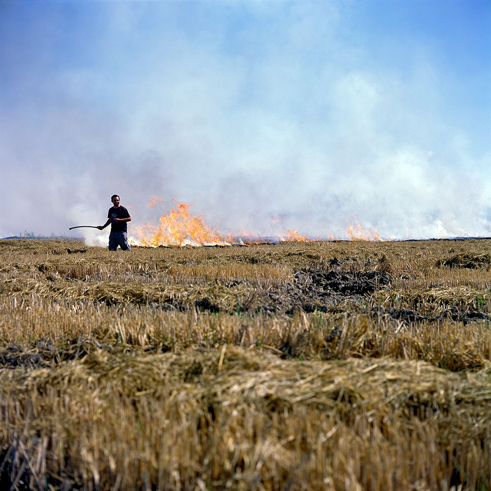Albufera Natural Park, Spain 2015 - image: Michel Meijer