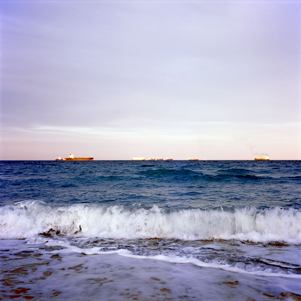 Albufera Natural Park, Spain 2015 - image: Michel Meijer