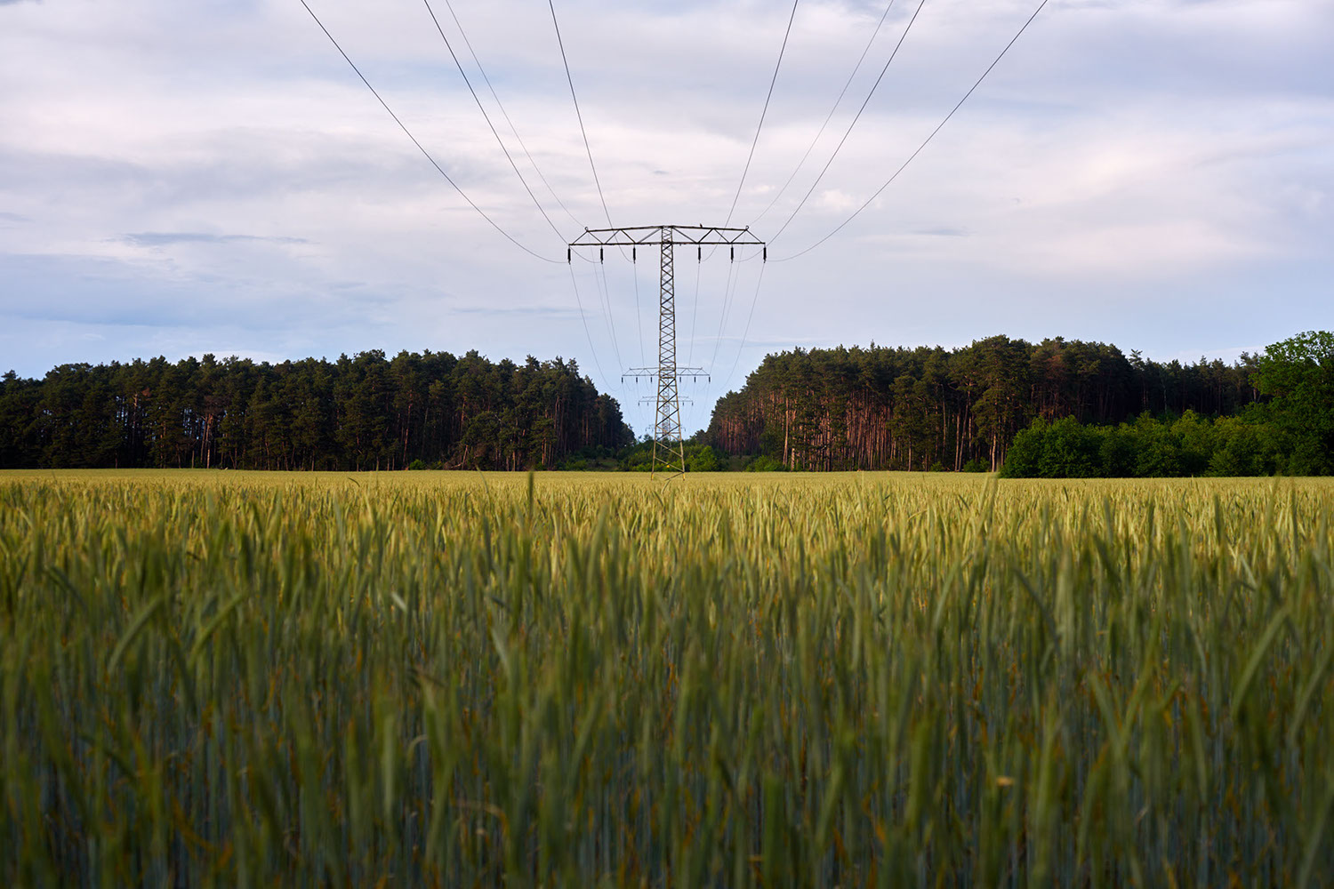 Frankfurter Allee at dusk in Berlin, Germany 2019 - image: Michel Meijer