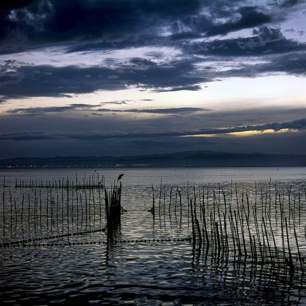Albufera Natural Park, Spain 2014 - image: Michel Meijer