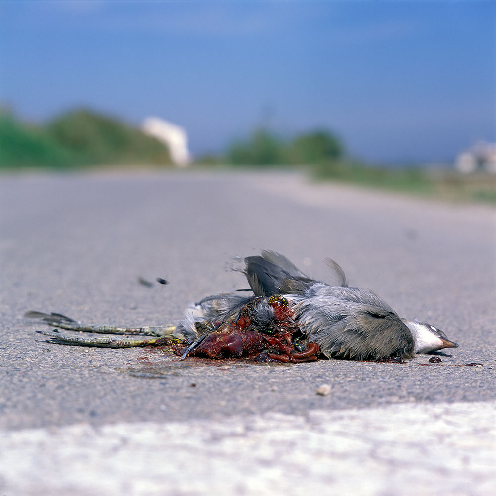 Frankfurter Allee at dusk in Berlin, Germany 2019 - image: Michel Meijer