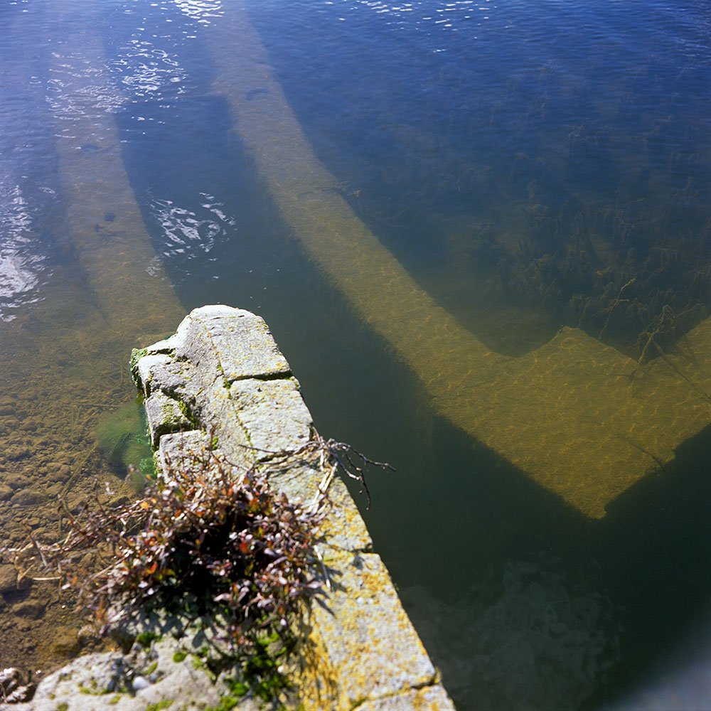 Albufera Natural Park, Spain 2022 - image: Michel Meijer