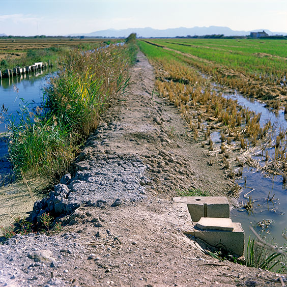 Irrigation trench between canal and rice field. Image: Michel Meijer