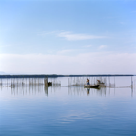 The freshwater lake in Albufera Natural Park. Image: Michel Meijer