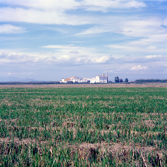 A farm surrounded by harvested rice fields in Albufera Natural Park. Image: Michel Meijer