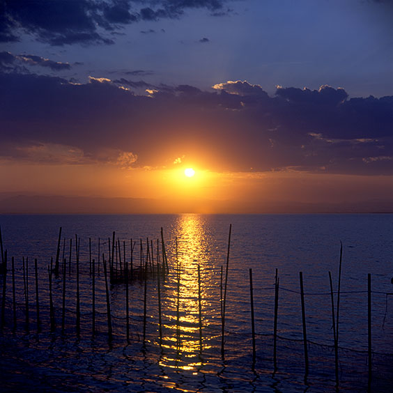 Lake Albufera during sunset. Image: Michel Meijer