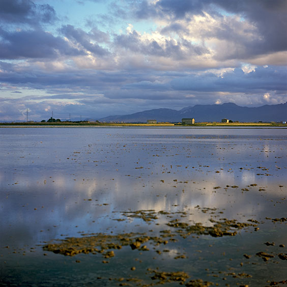 A bare rice field in Albufera Natural Park during wintertime. Image: Michel Meijer