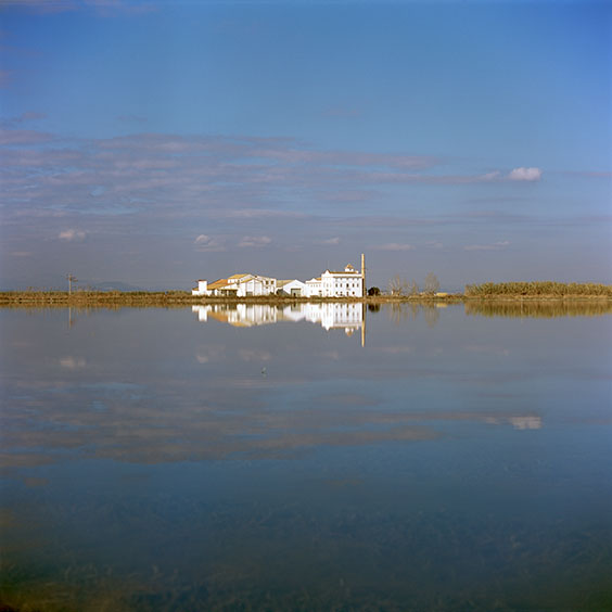 A farm surrounded by flooded rice fields in Albufera Natural Park during wintertime. Image: Michel Meijer