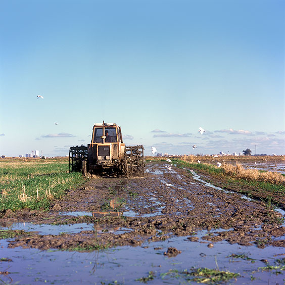 A tractor mixes residues of the rice plants with the soil of the rice field. Image: Michel Meijer