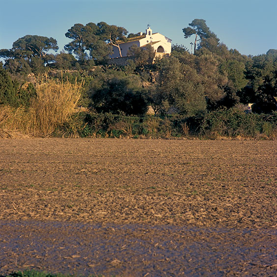 La Muntanyeta del Sants in Albufera Natural Park. Image: Michel Meijer