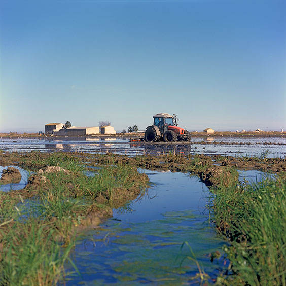 A tractor mixes remnants of rice plants with the top layer of the soil. Image: Michel Meijer