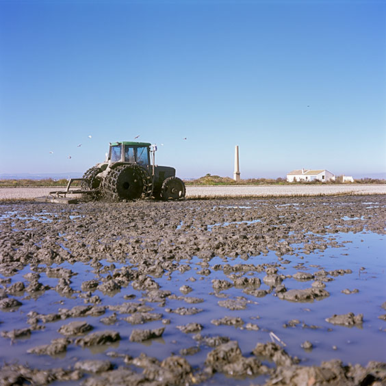 A tractor mixes the residues of rice plants with the topsoil of the rice field. Image: Michel Meijer