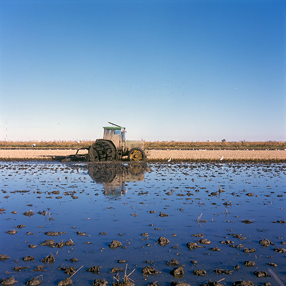 The remaining residues of the rice plants are mixed with the topsoil of the rice field using a tractor. Image: Michel Meijer