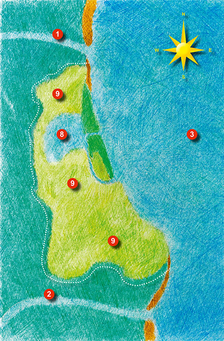 L'Albufera: 1900 - present. Image: Michel Meijer