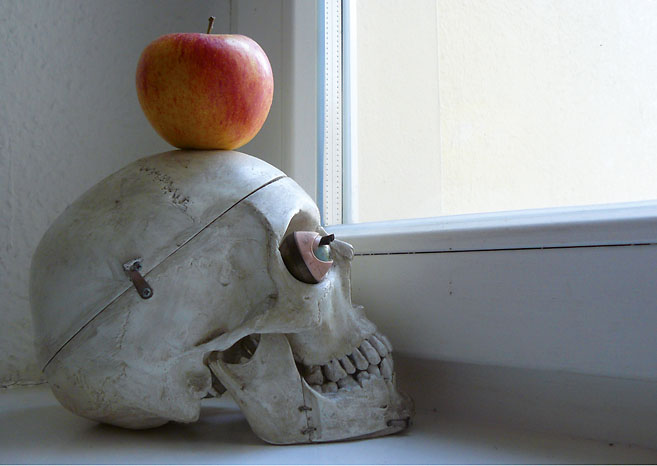 Ein Totenkopf mit einem Apfel darauf steht auf der Fensterbank hinter dem Fenster. Eine Arbeit von Marcel Schock.